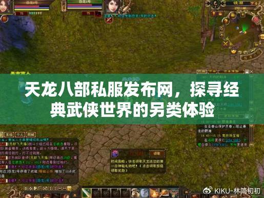 天龙八部公益私服发布网玩法技巧,助老玩家开启新武侠征程 第4张 天龙八部公益私服发布网玩法技巧,助老玩家开启新武侠征程 第4张