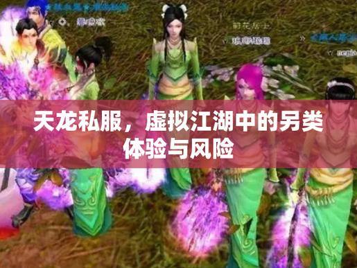 天龙八部公益私服是什么？版本自定义、风险与体验解析 第1张