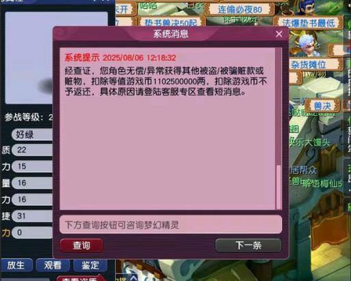 梦幻西游私服揭秘：非法运营风险大，玩家需谨慎 第3张
