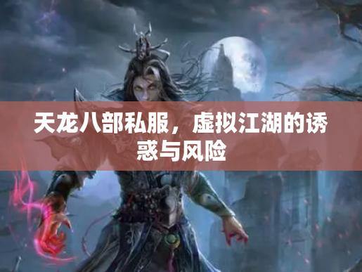 天龙八部公益私服揭秘：风险、诱惑与正版对比 第1张