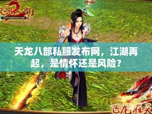 天龙八部公益私服发布网安全吗？如何辨别优秀私服发布网？ 第4张