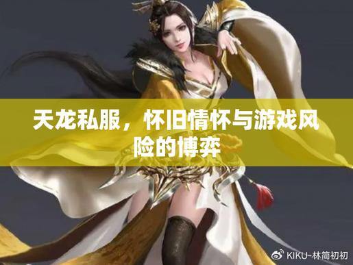 想玩天龙私服却摸不着头脑？快来看看这些特点 第2张