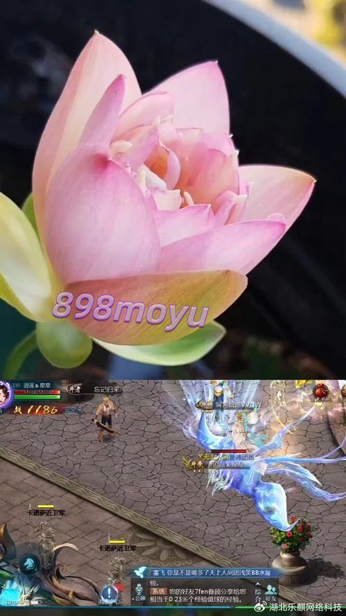 魔域私服外挂警示：看似诱人，实则违规违法！玩家必看 第3张