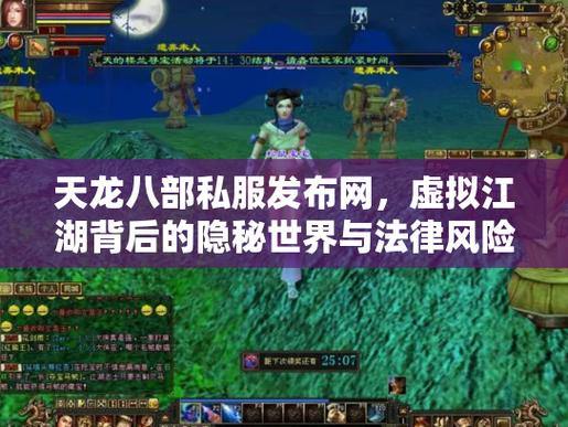 天龙八部SF私服攻略：服务稳定性、风险与安全准备全解析 第3张