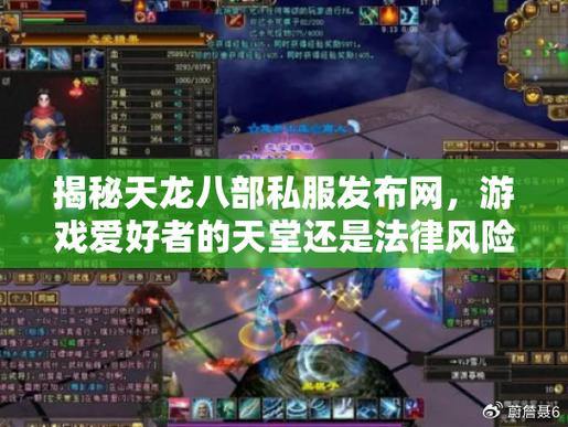 天龙八部私服揭秘：特色内容、快速升级与风险分析 第2张