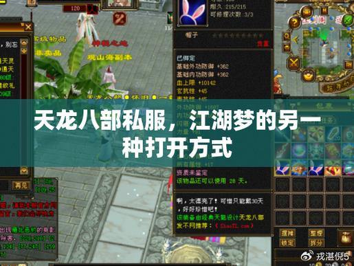 天龙八部SF私服攻略：服务稳定性、风险与安全准备全解析 第1张