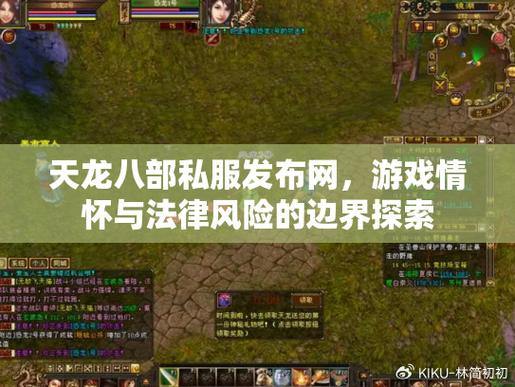 玩天龙私服有门道？能玩但风险大，这些内在问题你要知道 第4张