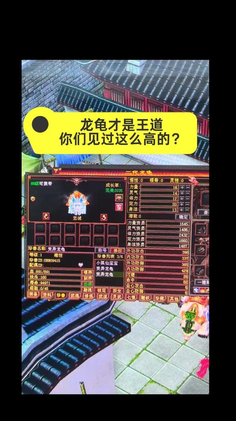 玩天龙sf的兄弟看过来！新奇玩法与注意事项大揭秘 第2张