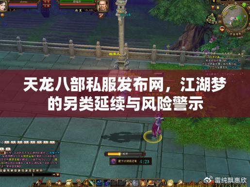 天龙八部私服解析：玩法多样、风险须知与探索新剧情 第3张