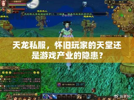 天龙八部公益服评测对比：游戏环境、内容与社区氛围全面解析 第3张