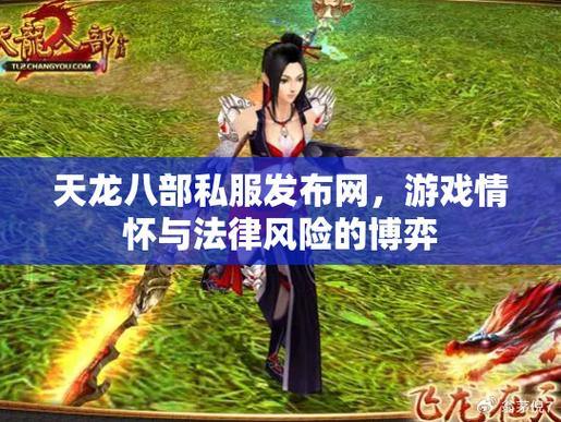天龙八部私服发布网：丰富版本、补丁，个性化游戏体验 第1张