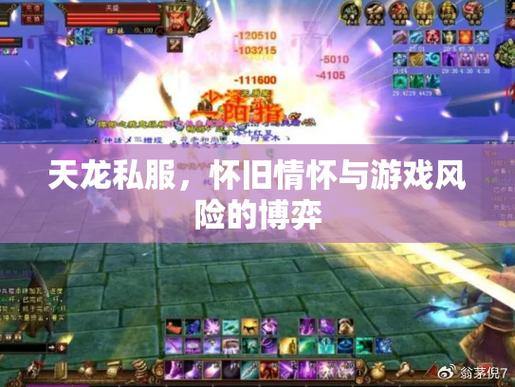 全职业玩家评测:世界天龙vs梦幻天龙,哪个私服更胜一筹? 第2张 全职业玩家评测:世界天龙vs梦幻天龙,哪个私服更胜一筹? 第2张