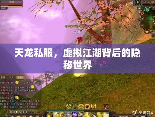 天龙私服指南：自由度、平衡性与安全性全解析 第1张