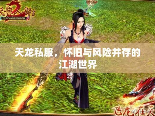 天龙八部私服：沉浸武侠世界，体验江湖冒险与群雄争霸 第4张