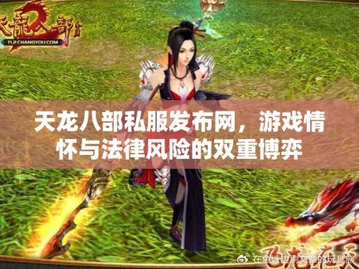 天龙八部公益私服:优势、风险与全面指南 第3张 天龙八部公益私服:优势、风险与全面指南 第3张