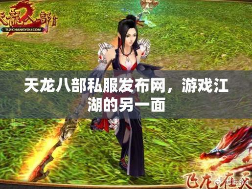 天龙八部私服发布网：版本选择多，活动丰富多彩 第4张