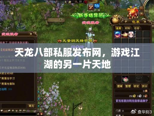 精选天龙八部私服发布网：玩法多样、个性自由，稳定可靠 第3张