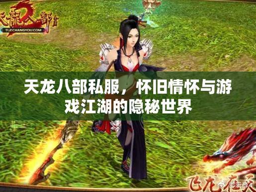 天龙私服评测：武侠世界、多人在线，畅享奇幻江湖之旅 第1张