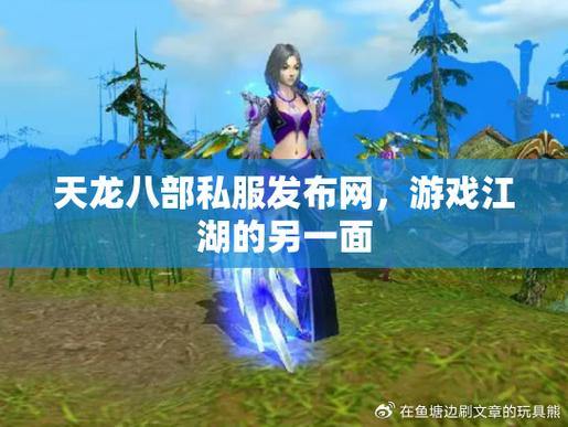 天龙八部私服发布网：多样化选择，稳定高效服务器，安全可靠环境