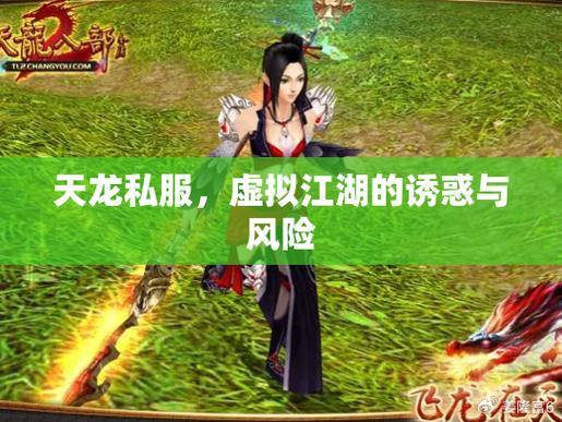 天龙八部公益私服评测：稳定、公平、绿色游戏环境对比 第4张