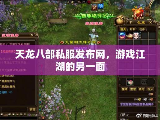 天龙八部私服发布网：自由定制体验、丰富游戏活动与稳定环境 第3张