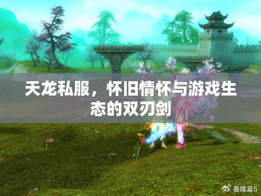 天龙八部公益私服评测：稳定环境、丰富玩法与健康社区 第4张