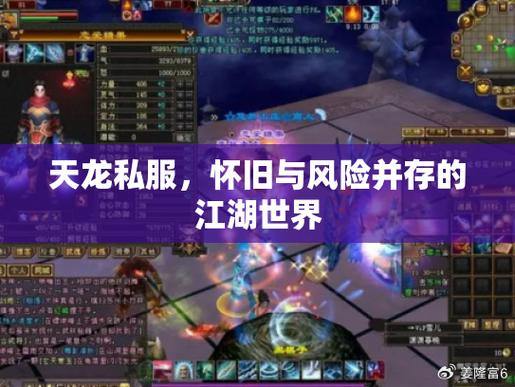 天龙八部公益私服评测：优势、不足与对比解析 第3张