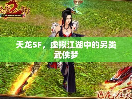 天龙私服:探索不一样的武侠世界,自由打造专属江湖 第1张 天龙私服:探索不一样的武侠世界,自由打造专属江湖 第1张