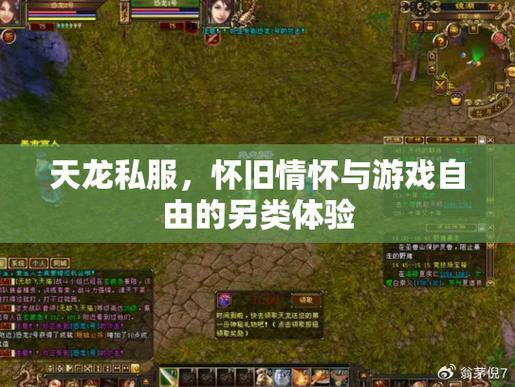 资深玩家天龙私服体验：初入江湖、结交好友、探索秘境 第4张