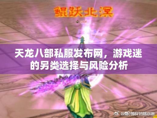 天龙八部私服发布网靠谱吗？如何选择正规发布网及避坑指南 第3张