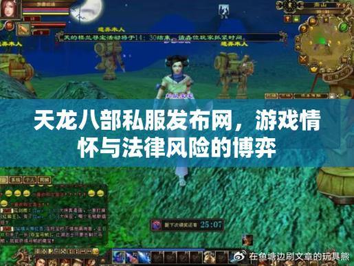 天龙八部sf：揭秘私服风险与正规选择，玩家必看 第2张