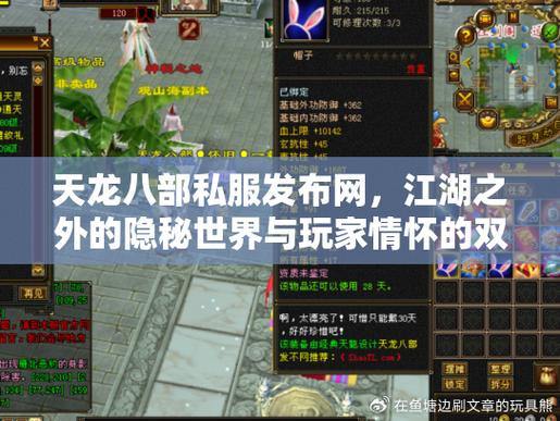 天龙八部私服发布网：多样化选择、优质资源与玩家交流 第4张