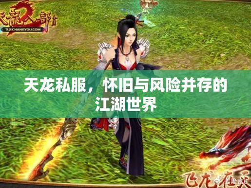 天龙八部公益私服：版本多样、玩法丰富，快来体验 第2张