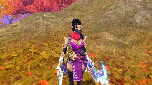 探索天龙私服的奇妙世界：冒险、美景与友情并存 第4张