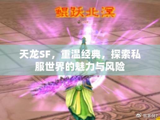 探索天龙私服：华丽江湖、自由门派选择与激情战斗 第3张