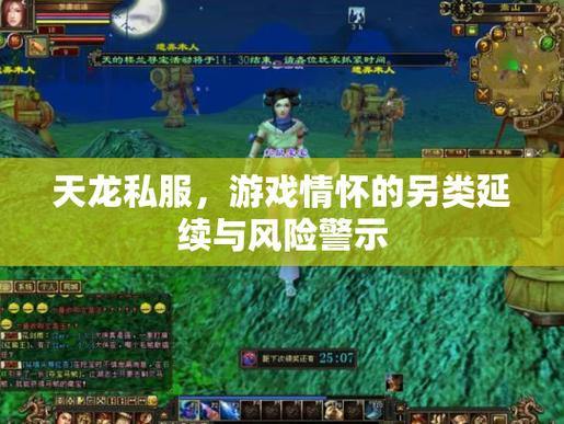 玩天龙sf常遇问题？一文为你解答天龙sf是什么及相关风险 第3张