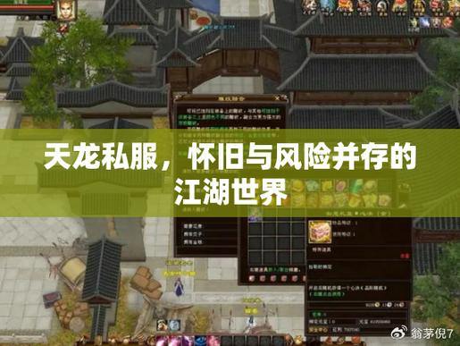 天龙私服：职业选择、剧情发展与社交互动全面解析 第1张