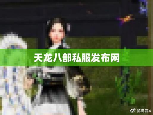 【天龙八部私服发布网】玩家必备攻略，最新资源&交流平台