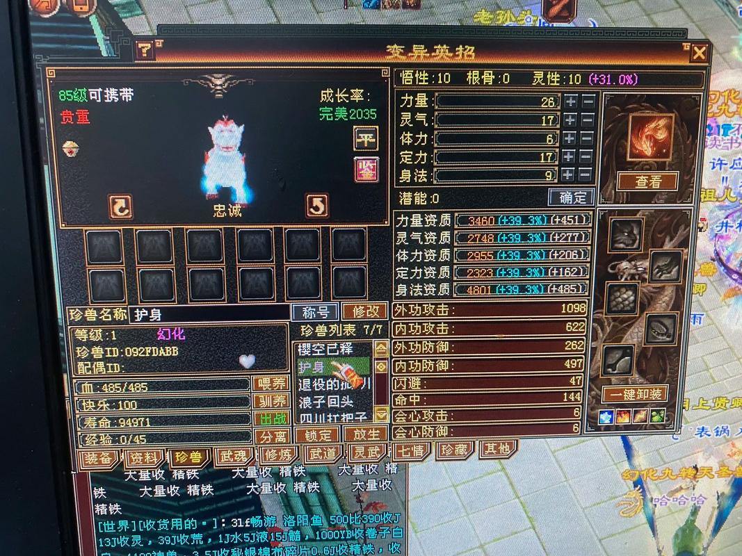 天龙八部私服攻略：玩法奔放任性，等级飙升+宠物系统创新