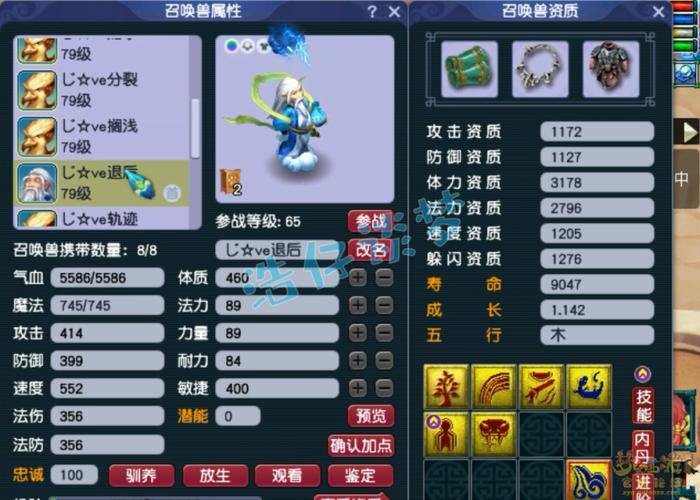 梦幻西游私服揭秘：别碰这些坑，安全风险与避雷指南 第2张