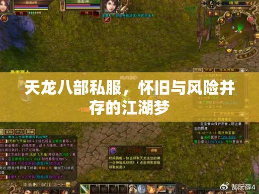 天龙八部sf玩家亲身体验：江湖冒险、武功修炼与团队合作 第4张