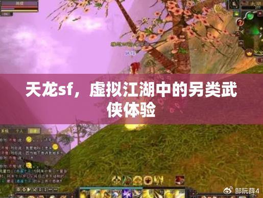 天龙SF游戏亲身体验：探索武侠世界，沉浸江湖冒险之旅 第3张