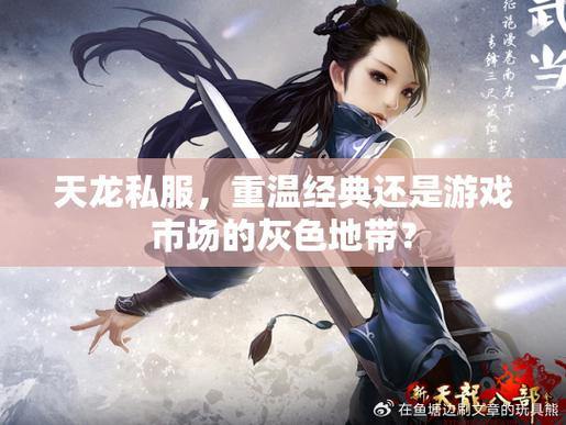 天龙私服：重温经典，畅享多样乐趣与稳定体验