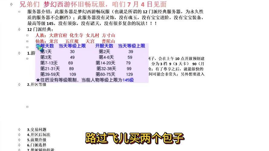 梦幻西游私服特点与玩法解析，独家技巧助你更好体验 第2张