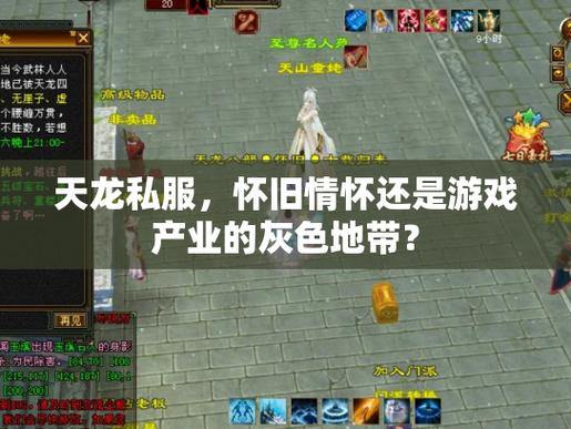 天龙私服玩家分享：如何选择优质服务器与职业攻略 第1张