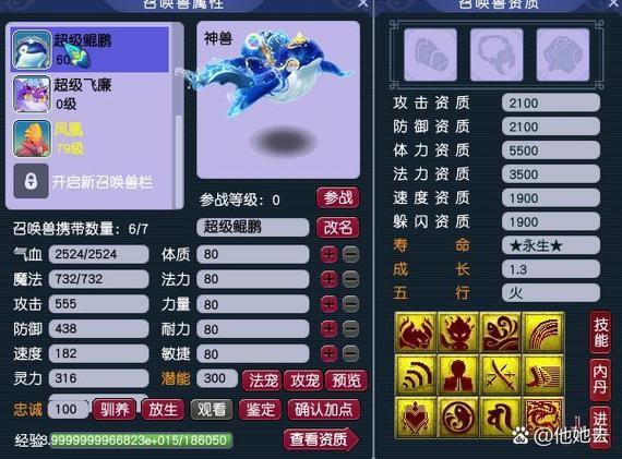 梦幻西游私服怎么选？优缺点解析和热门推荐给你