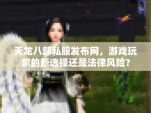 天龙私服选择攻略：7大技巧教你玩转私服，避开风险 第3张