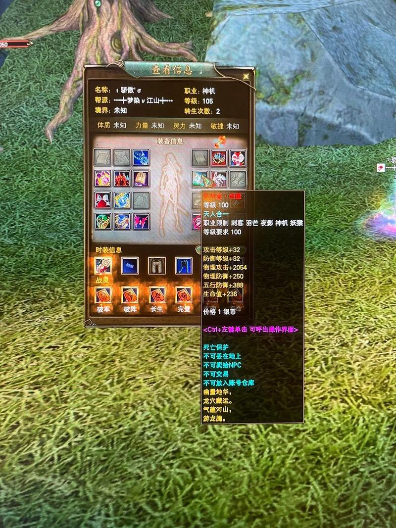 完美国际私服注册指南与角色创建攻略,新手必看 第2张 完美国际私服注册指南与角色创建攻略,新手必看 第2张