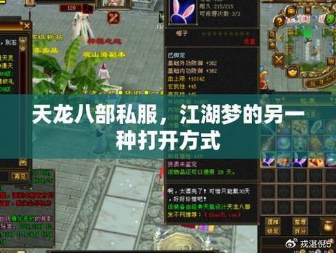 天龙私服怎么玩？新手必看攻略与江湖冒险指南 第2张