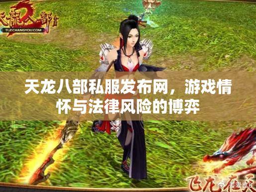 天龙私服：游戏爱好者福音，畅享私服乐趣与经验